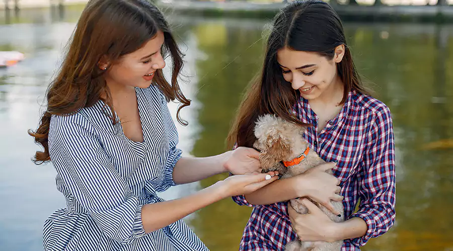 Resurgence Behavioral Health: Healing Together with Your Pet